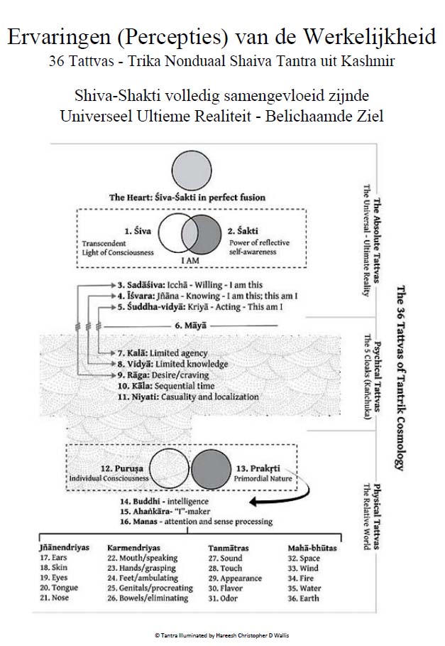 Schema 36 Tattvas - Tantra Illuminated - TantraTempel