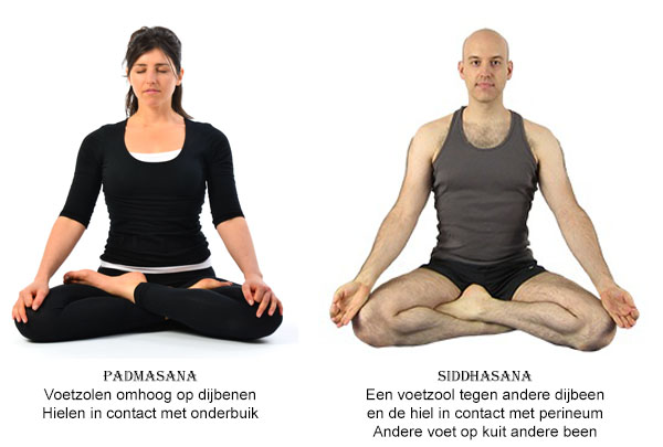 Zit Asana's - Padmasana & Siddhasana