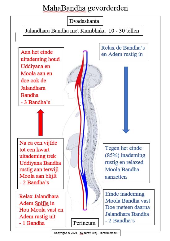 Schema MahaBandha voor Gevorderden - TantraTempel