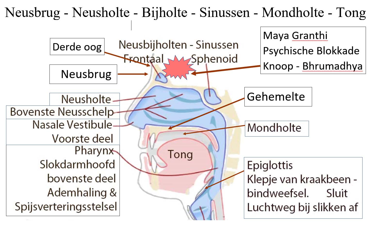 Adem tot Neusbrug bij Ucchara oefening 