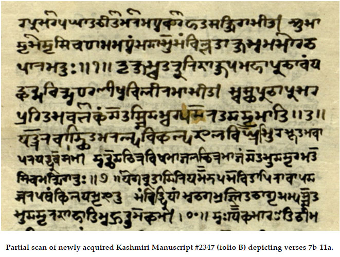 Sanskriet teskst - Sanskrit Text 