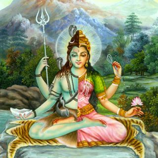 Shiva-Shakti afbeeldingen waarbij zij in één lichaam vertegenwoordigd zijn 