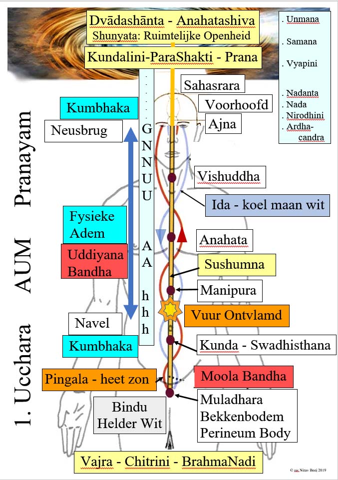 Schema van de Ucchara oefening met Chakra's - Nadi's - Mantra's 