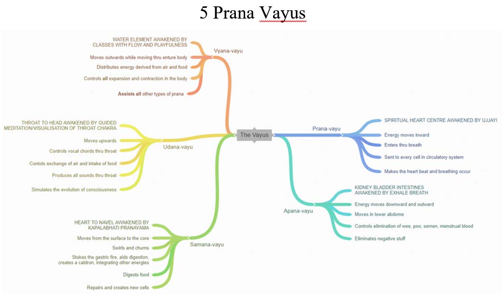 5 Vayus - de verschillende soorten ademing en stromingsrichtingen 