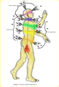 Seks Hara Solar-Plexus Hart Keel Derde-Oog Kruin Chakra - Ida Pingala Sushumna