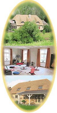 Fotocollage TantraTempel huis in bos - Groepsruimte - Centrum voor Tantra meditatie